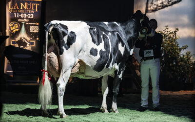 Un retour très réussi pour la Nuit de la Holstein